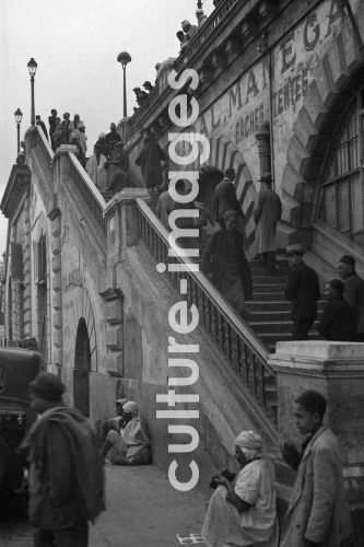 Algerien, Algier, Strassenszene. Aus der Algerien, Algier, Strassenszene. Aus der