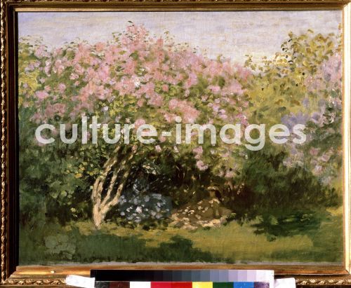 Claude Monet, Flieder auf der Sonne Claude Monet, Flieder auf der Sonne
