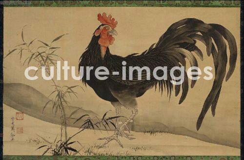 Black Rooster and Bamboo