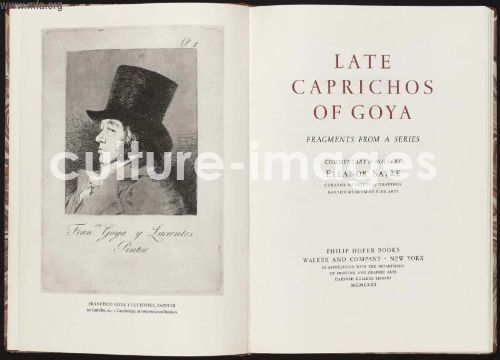 Late Caprichos of Goya: Fragments from a Series