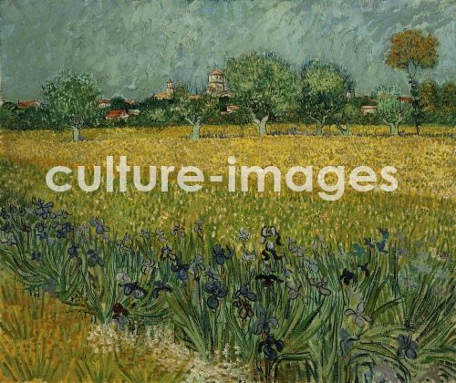 Vincent van Gogh, Feld mit Blumen in der Nähe von Arles Vincent van Gogh, Feld mit Blumen in der Nähe von Arles