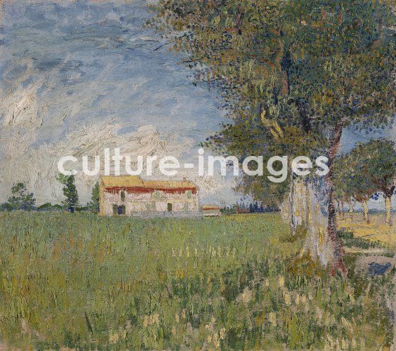 Vincent van Gogh, Farmhouse in a wheat field Vincent van Gogh, Farmhouse in a wheat field