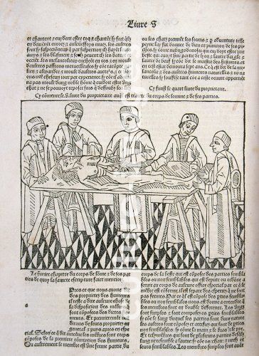 A dissection in progress. From A dissection in progress. From
