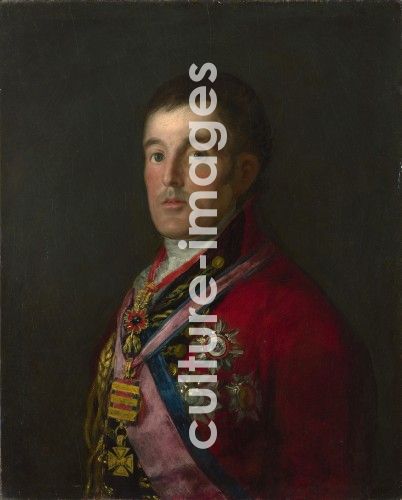 Francisco de Goya, Porträt Arthur Wellesley