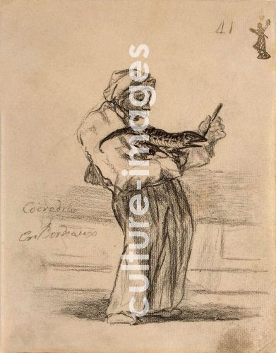Francisco de Goya, Krokodil in Bordeaux