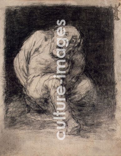 Francisco de Goya, Idiot