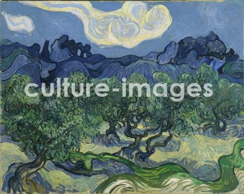 Vincent van Gogh, Olivenbäume