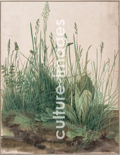 Albrecht Dürer, Das große Rasenstück