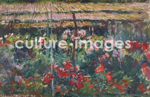 Claude Monet, Pfingstrosengarten Claude Monet, Pfingstrosengarten