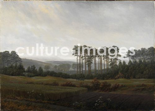 Caspar David Friedrich, Tageszeitenzyklus: Der Nachmittag