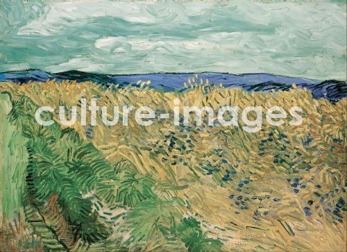 Vincent van Gogh, Weizenfeld mit Kornblumen