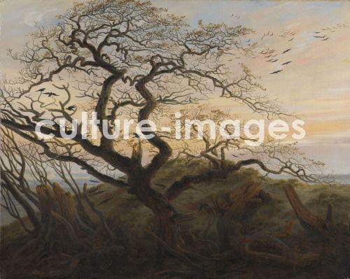 Caspar David Friedrich, Der Krähenbaum Caspar David Friedrich, Der Krähenbaum