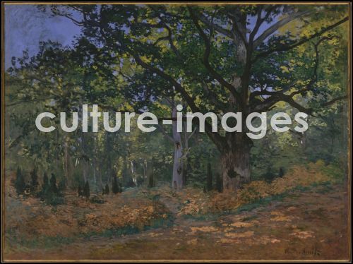 Claude Monet, Bodmer Eiche im Wald von Fontainebleau Claude Monet, Bodmer Eiche im Wald von Fontainebleau