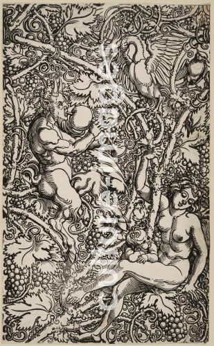 Hans Sebald Beham, Satyr und Nymphe mit Vögeln. Modul einer Tapete