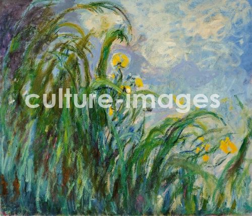 Claude Monet, Gelbe Irise Claude Monet, Gelbe Irise