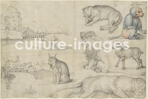 Albrecht Dürer, Skizzen von Tieren und Landschaften