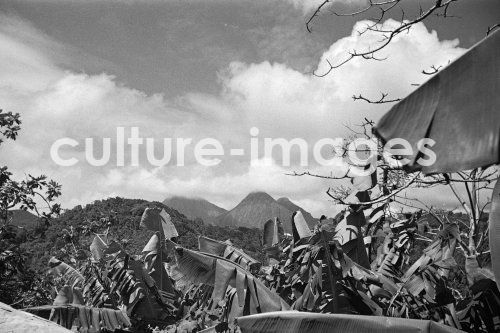 Martinique, kleine Antillen, Karibik. Aus Martinique, kleine Antillen, Karibik. Aus