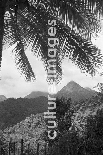 Martinique, kleine Antillen, Karibik. Aus Martinique, kleine Antillen, Karibik. Aus