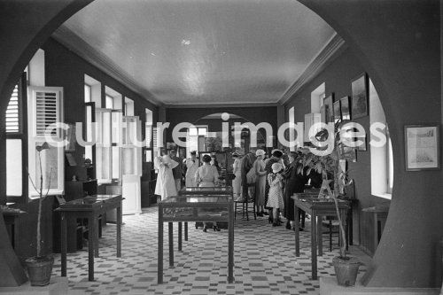 Martinique, kleine Antillen, Karibik. Aus Martinique, kleine Antillen, Karibik. Aus
