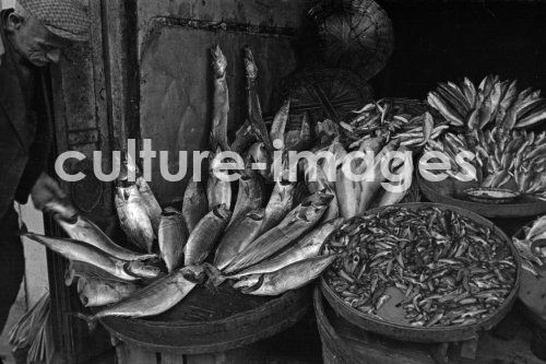 Türkei, Istanbul, Fischerei, Fischfang, tote Türkei, Istanbul, Fischerei, Fischfang, tote