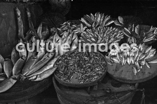 Türkei, Istanbul, Fischerei, Fischfang, tote Türkei, Istanbul, Fischerei, Fischfang, tote