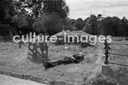 Irland, Muchross Abbey, Killarney National Irland, Muchross Abbey, Killarney National