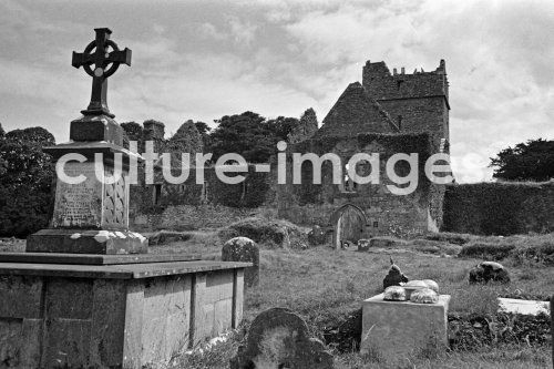 Irland, Muchross Abbey, Killarney National Irland, Muchross Abbey, Killarney National