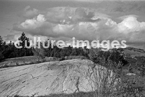 Irland, Pryces Island. Aus der Irland, Pryces Island. Aus der