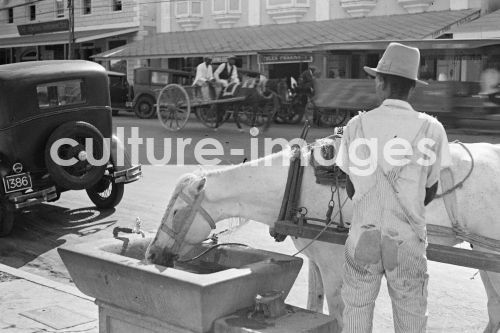 Bahamas, Nassau, Karibik, Strassenszene, Commonwealth Bahamas, Nassau, Karibik, Strassenszene, Commonwealth
