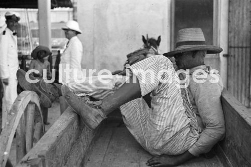 Bahamas, Nassau, Karibik, Schafmarkt, Aus Bahamas, Nassau, Karibik, Schafmarkt, Aus