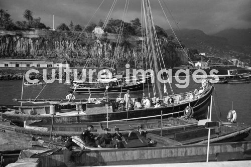 Portugal, Funchal, Madeira, Ufer, Küste, Portugal, Funchal, Madeira, Ufer, Küste,