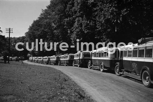 Irland, Killarney, County Kerry, See, Irland, Killarney, County Kerry, See,