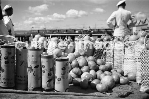 Jamaica, Kingston, Karibik. Aus der Jamaica, Kingston, Karibik. Aus der
