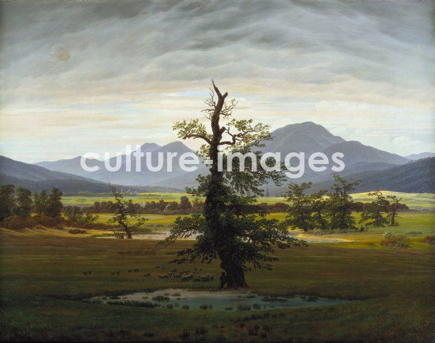 Caspar David Friedrich, Solitary Tree