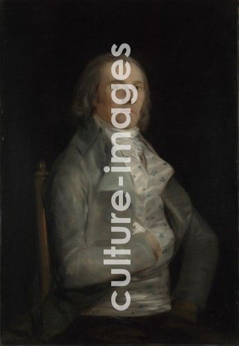 Francisco Goya, Don Andrés del Peral