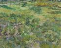 Vincent van Gogh, Langes Gras mit Schmetterlingen