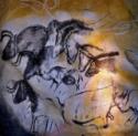 Höhlenmalerei aus der Chauvet-Höhle