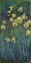 Claude Monet, Gelbe Irise