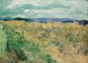 Vincent van Gogh, Weizenfeld mit Kornblumen