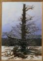 Caspar David Friedrich, Eichbaum im Schnee