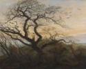 Caspar David Friedrich, Der Krähenbaum