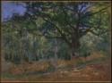 Claude Monet, Bodmer Eiche im Wald von Fontainebleau