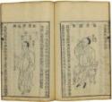 Fu Renyu, Shen Shi Yao Han (Ein preziöses Buch der Augenheilkunde)