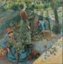 Camille Pissarro, Apfelernte
