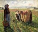 Camille Pissarro, Die Erbsenernte, Eragny