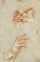 Giambattista Tiepolo, Handstudie
