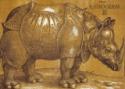 Albrecht Dürer, Rhinocerus